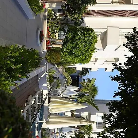 Resort Star Park 5*